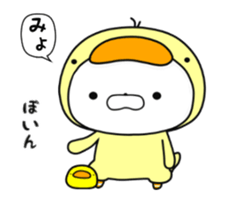 13043517