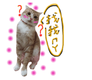 130436038