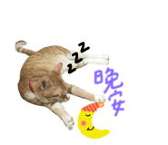 130436041