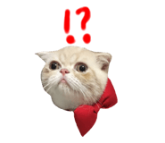130436044