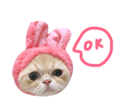 130436045