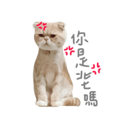 130436047