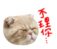 130436049