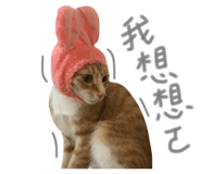 130436050