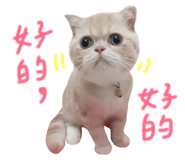 130436052