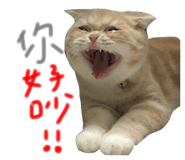 130436055