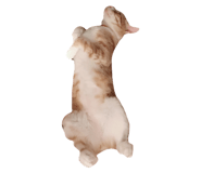 130436060