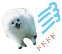 130471290