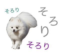 130471293