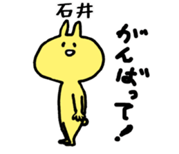 13050207