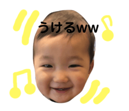 130531281