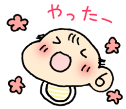 13055071