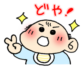 13055076