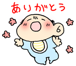 13055079