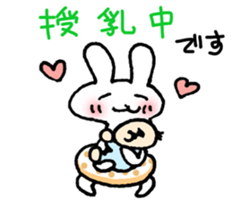 13055084