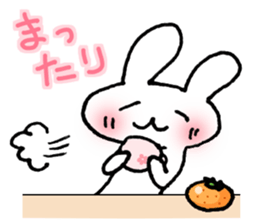 13055096