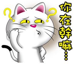 13059911