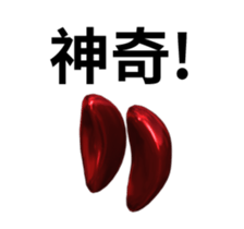 13063045