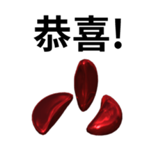 13063047
