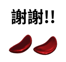 13063048