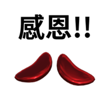 13063049