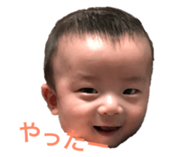 130636686