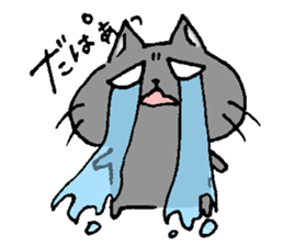 13072455