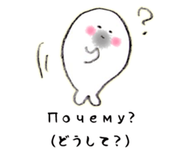 13075312
