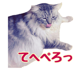 130757658
