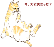 130757671