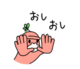13077058