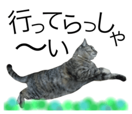 130822861