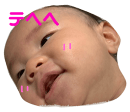 130960013