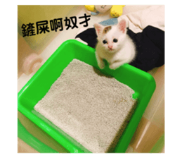 131012525