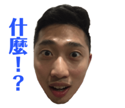 131033207