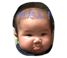 131043421