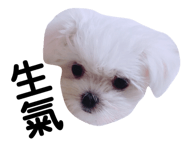 131046766