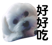 131046781