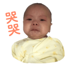 131046825
