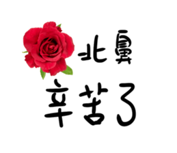 131070007