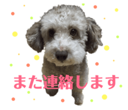 131090984