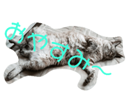 131111356