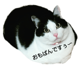 131115374