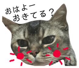 131129778