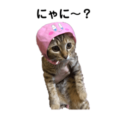 131132987