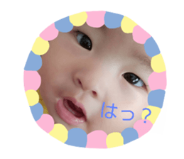 131133080