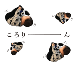 131180930