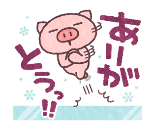 131213892