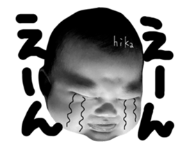 131224775