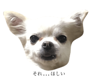 131250502